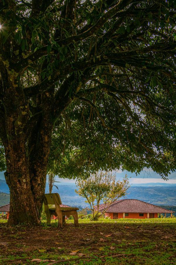 Refugio Do Rio Guest house *