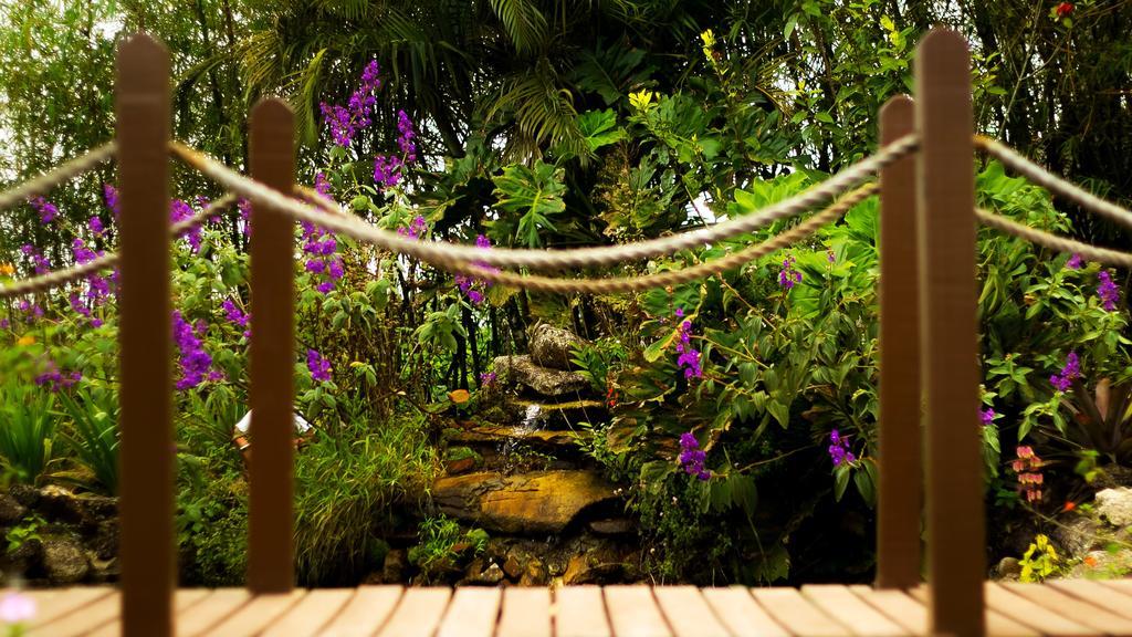 Casa de hóspedes Refugio Do Rio Bonito Bonito (Pernambuco)
